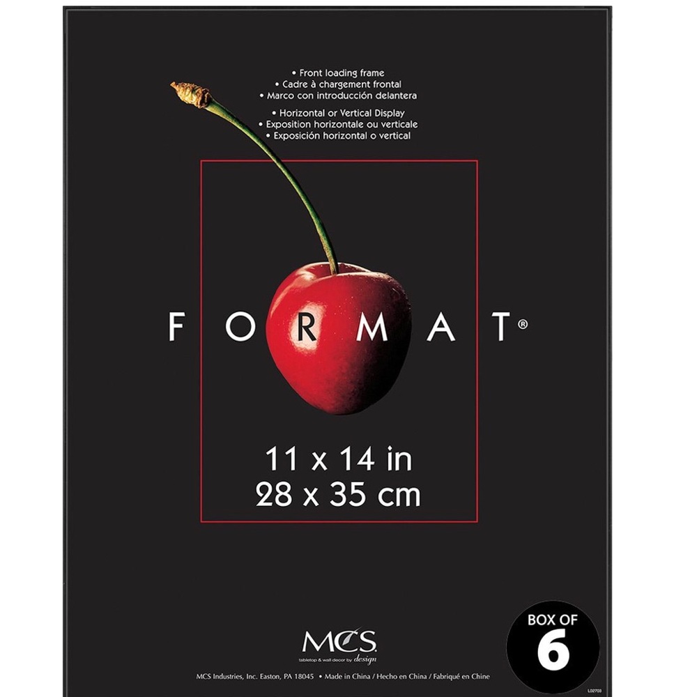 NWT 11”x 7” Format Infinity frame